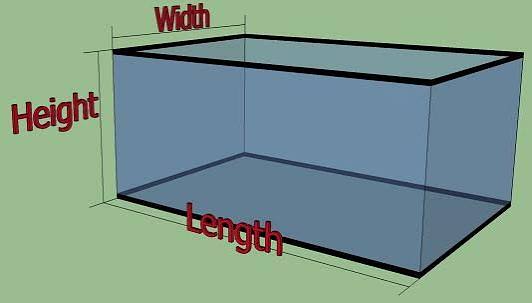 Module - Fish Tank deposit